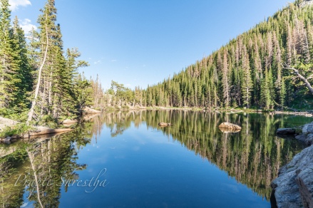 Dream Lake in Rocky Mountain National Park capturing the reflections of surround trees and deep blue clear sky