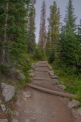Paved portion of Bear Lake trail in Rocky Mountain National Park in Colorado